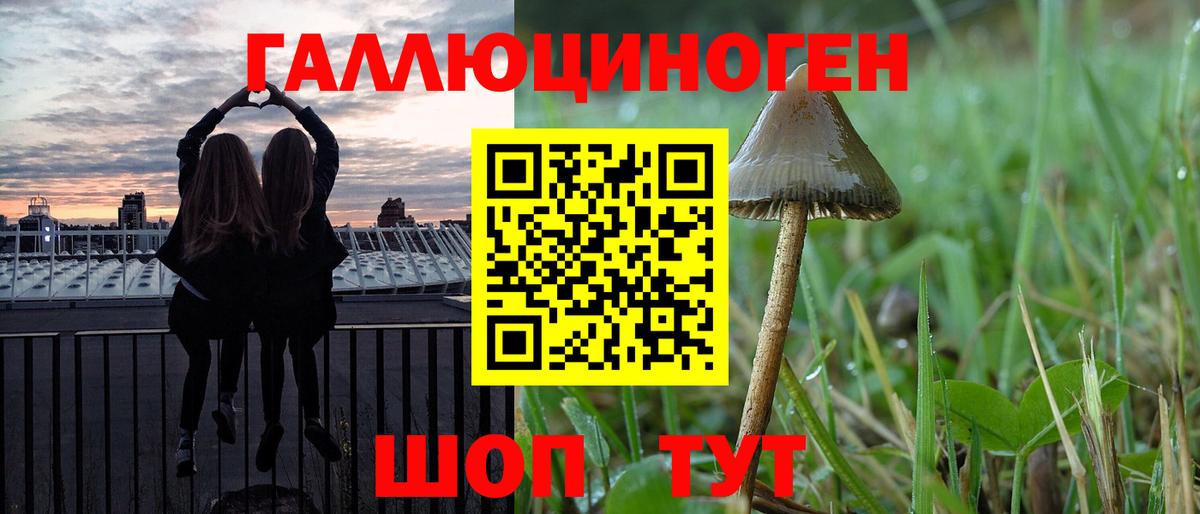 Санкт-Петербург  Галлюциногенные грибы MAGIC MUSHROOMS  Вход с VPN  Галлюциногенные грибы ЛСД 